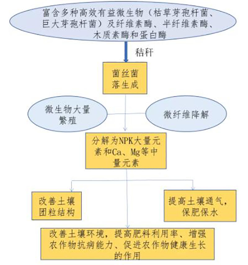 活力腐秆液1L