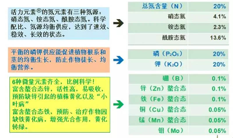 美狮贵宾会